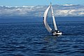 DSC_3857.JPG