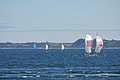 DSC_4355.JPG