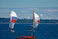 DSC_4370.JPG