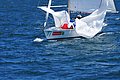 DSC_5596.JPG