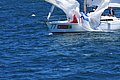 DSC_5599.JPG