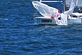 DSC_5600.JPG