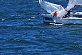 DSC_5604.JPG
