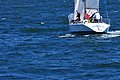 DSC_5606.JPG
