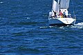 DSC_5607.JPG