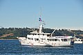 DSC_8511.JPG
