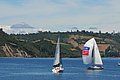 DSC_8537.JPG