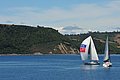 DSC_8538.JPG