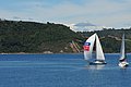 DSC_8539.JPG