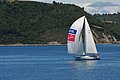 DSC_8540.JPG