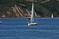DSC_8561.JPG