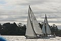 DSC_9681.JPG