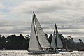 DSC_9685.JPG