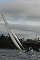 DSC_9711.JPG