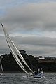 DSC_9716.JPG