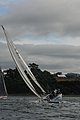 DSC_9717.JPG