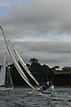 DSC_9718.JPG