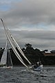 DSC_9719.JPG