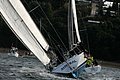 DSC_9725.JPG