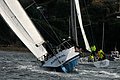 DSC_9731.JPG