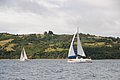 DSC_2113.JPG