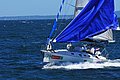 DSC_6024.JPG