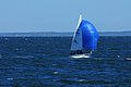 DSC_6131.JPG