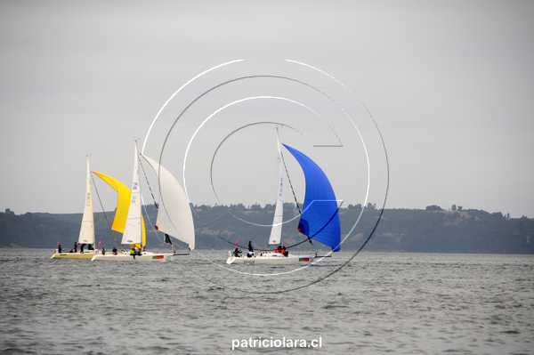 DSC_1555.JPG