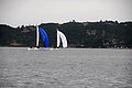 DSC_1569.JPG