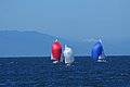 DSC_5115.JPG