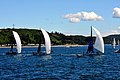 DSC_4447.JPG