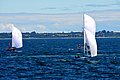DSC_4459.JPG
