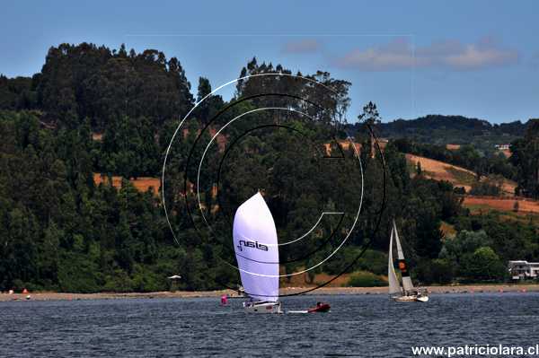 DSC_7898.JPG