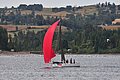 DSC_7884.JPG