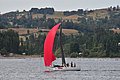 DSC_7886.JPG