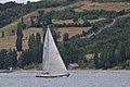DSC_7606.JPG