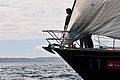 DSC_8749.JPG