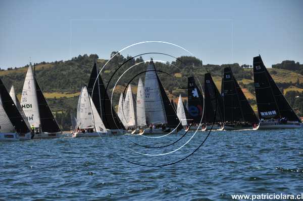 DSC_8546.JPG