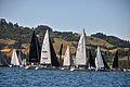 DSC_8571.JPG