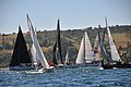 DSC_8581.JPG