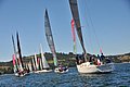 DSC_8425.JPG