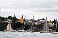 DSC_11003.JPG