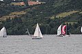 DSC_7862.JPG