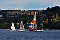 DSC_8097.JPG