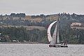 DSC_7355.JPG