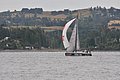 DSC_7358.JPG