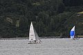DSC_7546.JPG