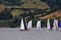 DSC_7925.JPG