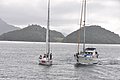 DSC_0603.JPG