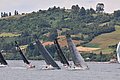 DSC_7959.JPG
